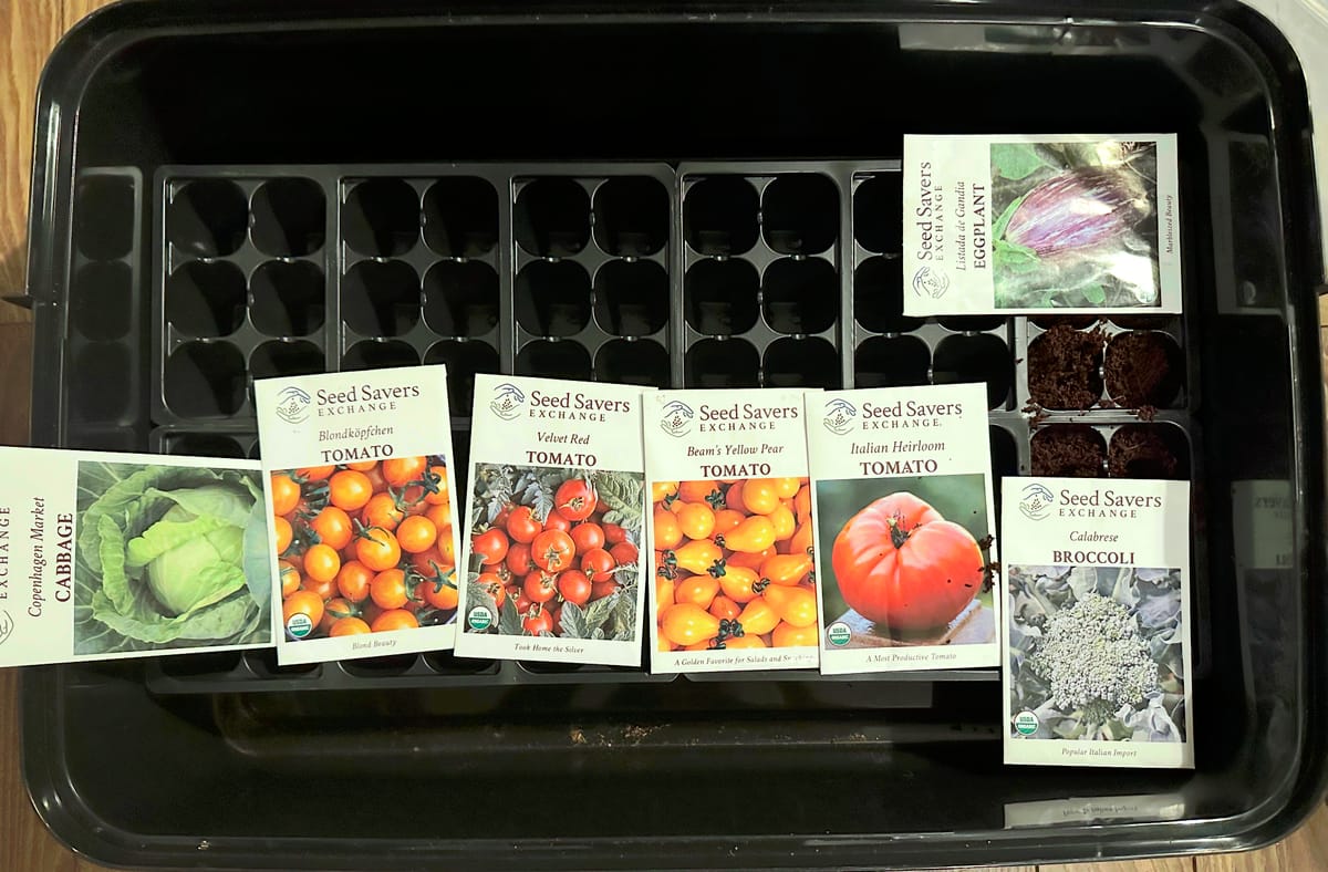 The Wait Is the Work